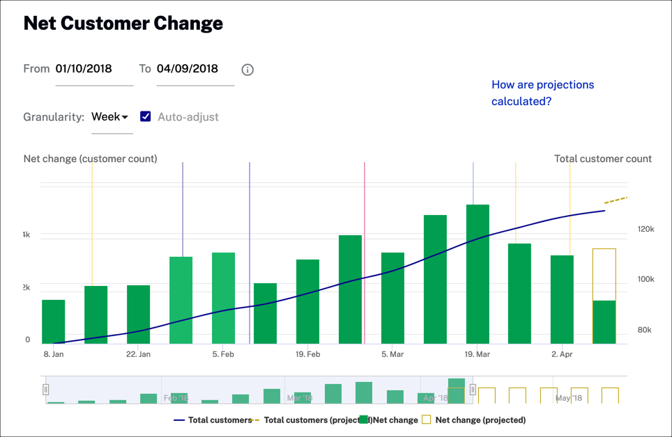 Net Customer Change