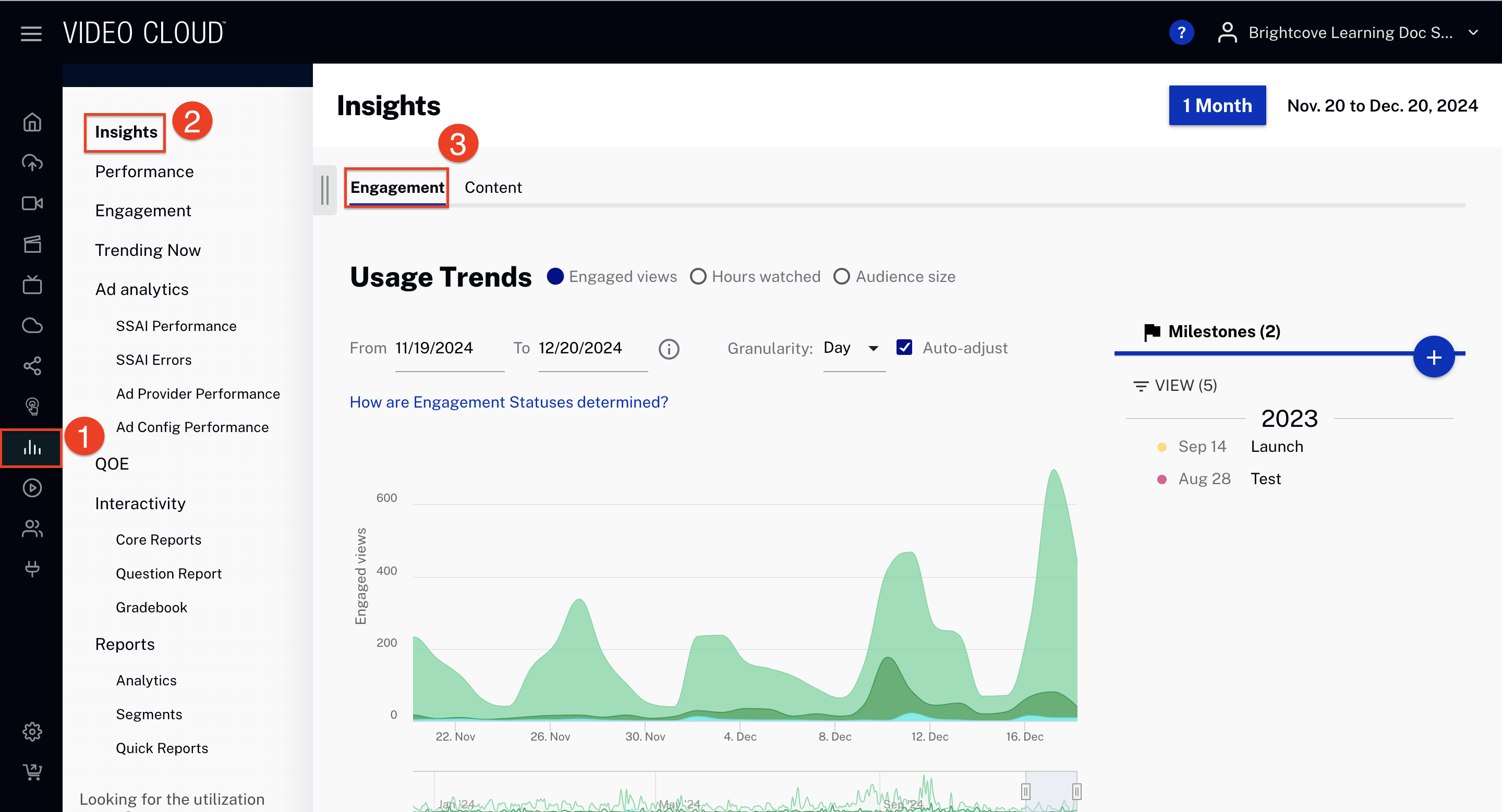 Insights Navigation