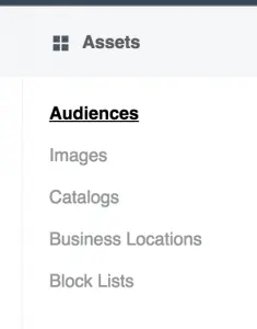 Facebook Ads Manager, Audiences